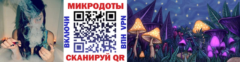 Галлюциногенные грибы Psilocybe  Карабаново 